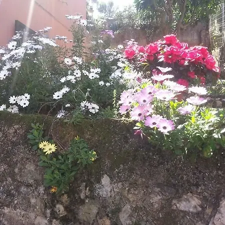 Land And Sea Guest house